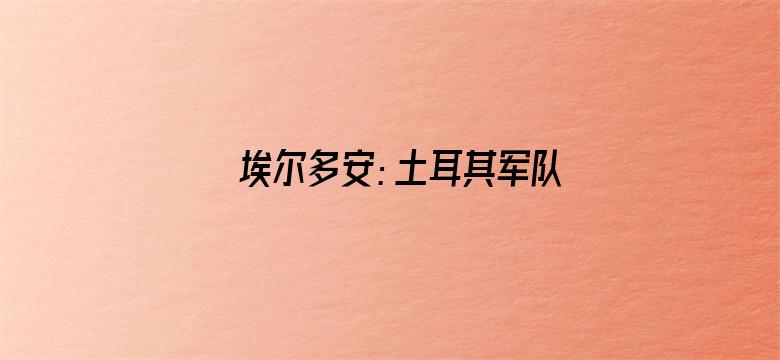 埃尔多安：土耳其军队击毙IS头目